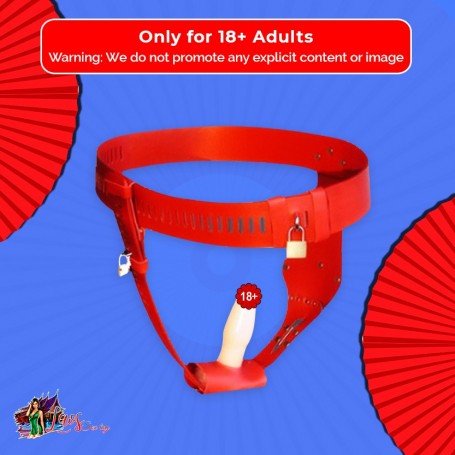 Chastity Lock Device for Women BDSM-002