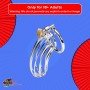 Stainless Steel Iron Wire Male Chastity Lock BDSM-016