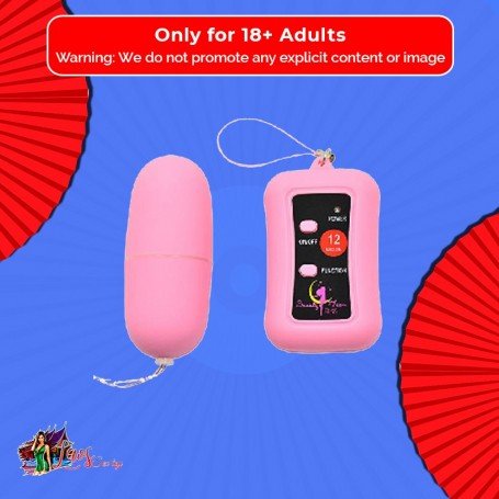 Remote Control Vibrating Egg BV-003